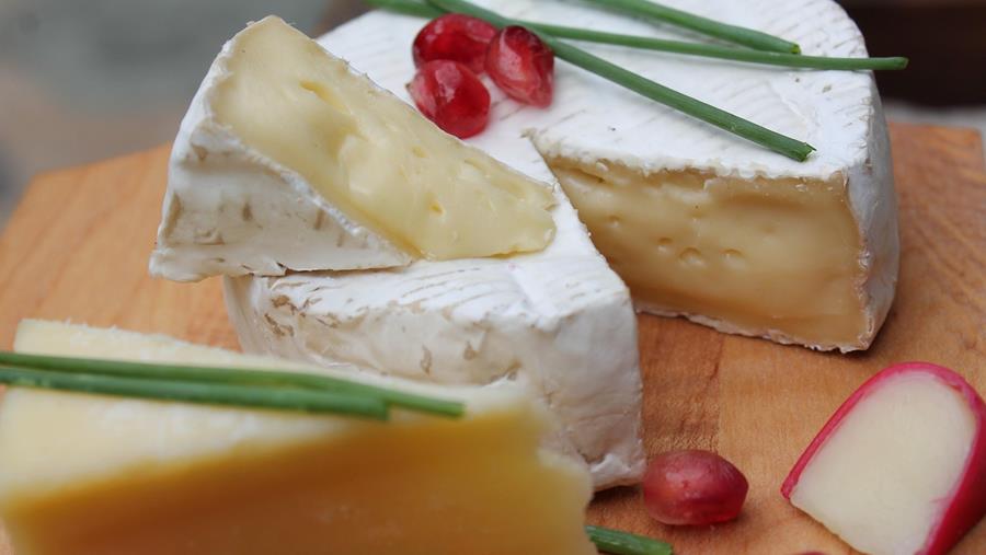 Premier cas d'infection à listeria par des fromages français en Belgique