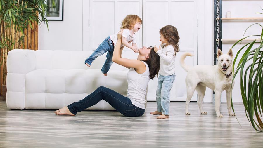 Des solutions durables qui enrichissent les sols